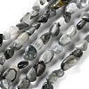 Natural Eagle Eye Stone Beads Strands G-P497-01C-52-1