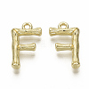 Alloy Pendants PALLOY-S137-001F-NR-1