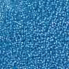 MIYUKI Round Rocailles Beads SEED-JP0009-RR0573-3