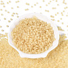 6/0 Transparent Inside Colours Glass Seed Beads SEED-N008-08N-2