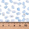 Transparent Spray Painted Glass Seed Beads SEED-L011-10A-17-4