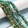 Natural Turquoise Beads Strands G-P506-05A-4