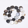 Black Lip Shell Beads Strands X-BSHE-T002-02-2