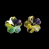 Glass Charms GLAA-I057-11A-2