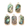 Natural Paua Shell Pendants SHEL-P017-22G-1