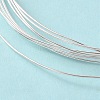 Dead Soft 925 Sterling Silver Wire STER-NH001-A-2