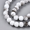 Baking Paint Glass Beads Strands DGLA-N013-8mm-01-3