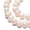 Natural Cultured Freshwater Pearl Beads Strands PEAR-N013-05H-01-4