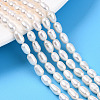 Natural Cultured Freshwater Pearl Beads Strands PEAR-N012-04M-1