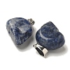 Natural Sodalite Pendants G-Z067-02P-03-2