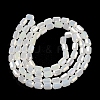 Electroplate Glass Beads Strands EGLA-D031-01D-2