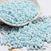 Macaron Color Opaque Frosted Glass Seed Beads X1-SEED-K009-12B-11-1