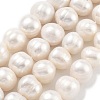 Natural Cultured Freshwater Pearl Beads Strands PEAR-C003-21A-1