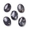 Natural Black Larvikite Cabochons X-G-Z020-10-1