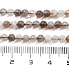 Natural Botswana Agate Beads Strands X-G-G143-A02-02-5