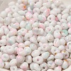 Baking Paint Glass Seed Beads SEED-F006-01A-14-3