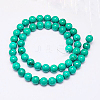 Natural Magnesite Beads Strand TURQ-G096-6mm-2