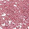 Glass Seed Beads SEED-H002-C-A042-3