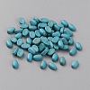 Synthetic Turquoise Cabochons TURQ-WH0001-25A-01-1