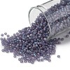 TOHO 11/0 Round Beads SEED-TR11-0166DF-1