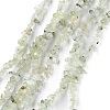 Natural Prehnite Beads Strands G-G0003-B12-1