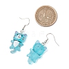 Iron Transparent Resin Cat Shape Dangle Earrings EJEW-JE06379-3