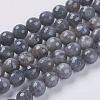 Natural Labradorite Beads Strands G-G213-8mm-03-1