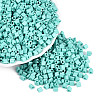 FGB Baking Paint Glass Seed Beads SEED-Q040-09A-13-1