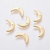 304 Stainless Steel Charms LS-STAS-L234-073G-1