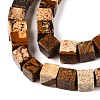 Natural Picture Jasper Beads Strands G-T139-6x6-27A-3