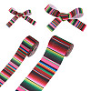 2 Rolls 2 Styles Stripe Pattern Printed Polyester Grosgrain Ribbon OCOR-TA0001-37A-9