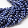 Natural Grade AA Dumortierite Quartz Round Bead Strands X-G-P075-43-8mm-1