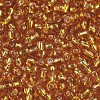 6/0 Glass Seed Beads SEED-US0003-4mm-22B-2