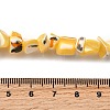 Natural Trochid Shell/Trochus Shell Beads Strands SHEL-B003-02H-4