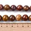 Natural Alashan Agate Beads Strands G-H343-D05-12mm-B-5