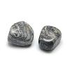 Natural Map Stone/Picasso Stone/Picasso Jasper Beads G-Q947-08-2