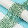 Natural Green Strawberry Quartz Beads Strands G-Z034-A02-01-2