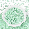 Baking Paint Glass Seed Beads SEED-N007-30B-2
