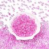 Spray Painted Transparent Glass Seed Beads SEED-T007-05C-1