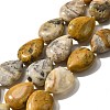 Natural Crazy Agate Beads Strands G-P561-B11-01-1