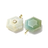 Natural Flower Amazonite Pendants G-P588-02G-10-2