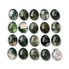 Natural Moss Agate Cabochons G-H314-01-1