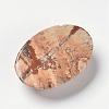 Natural Picture Jasper Cabochons G-F296-11-25x35mm-3