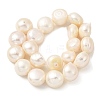 Natural Cultured Freshwater Pearl Beads Strands PEAR-A006-10A-3