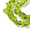Transparent Glass Beads Strands GLAA-P060-01A-11-3