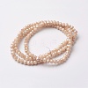 Electroplate Glass Beads Strands X-EGLA-F124-PL-A01-2