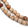 Dyed Natural Regalite/Imperial Jasper/Sea Sediment Jasper Beads Strands G-B124-C04-11-2