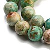 Natural Peruvian Turquoise(Jasper) Beads Strands G-Z062-A01-03-4