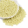 Glass Seed Beads SEED-T007-01J-3