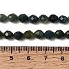 Natural Moss Agate Beads Strands G-K376-F16-01-5